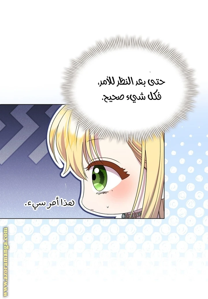 الصفحة 26