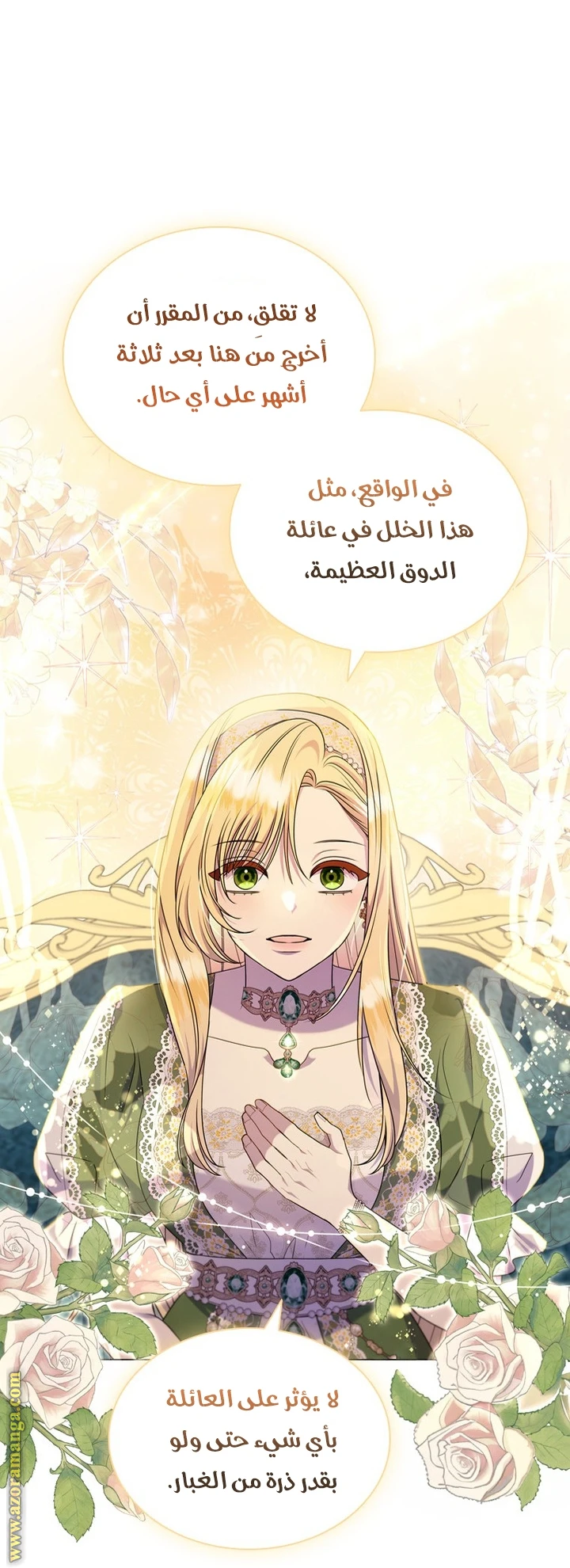 الصفحة 29