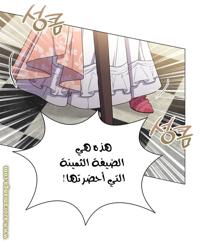 الصفحة 41