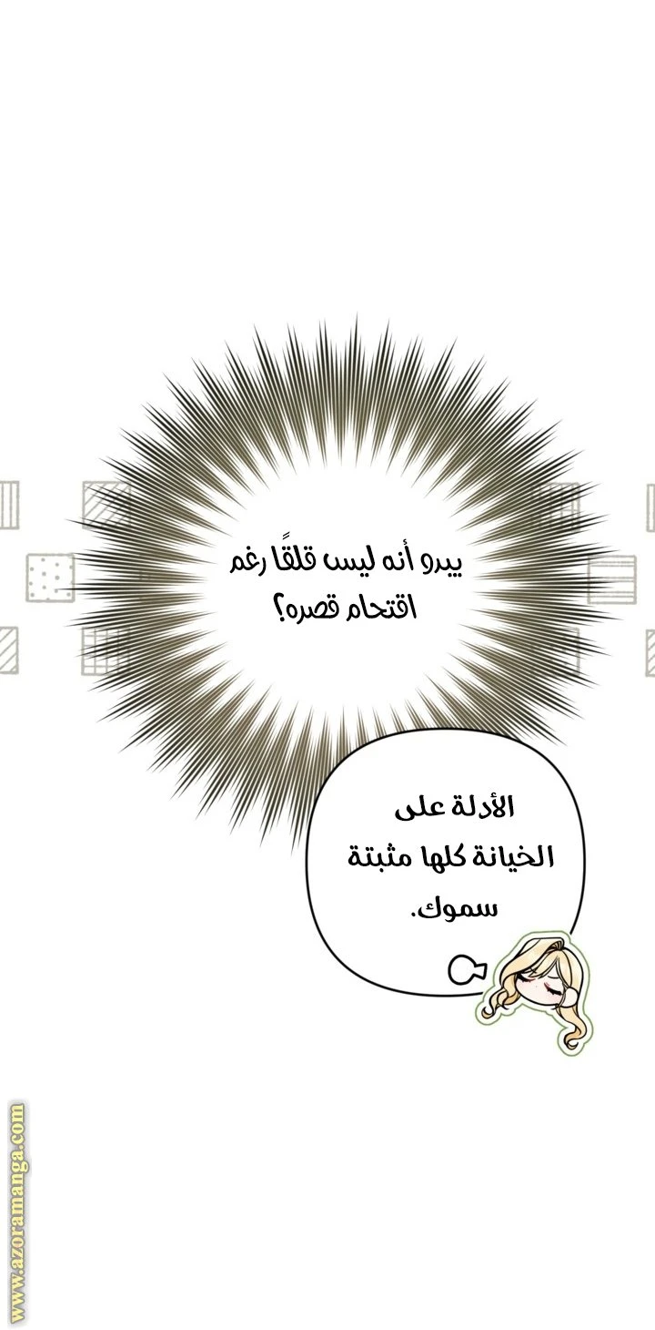الصفحة 26