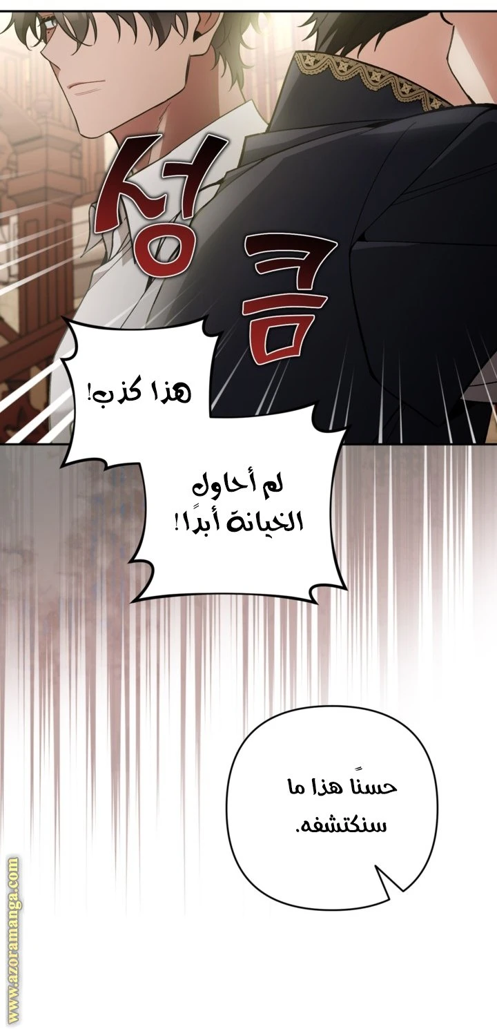 الصفحة 27