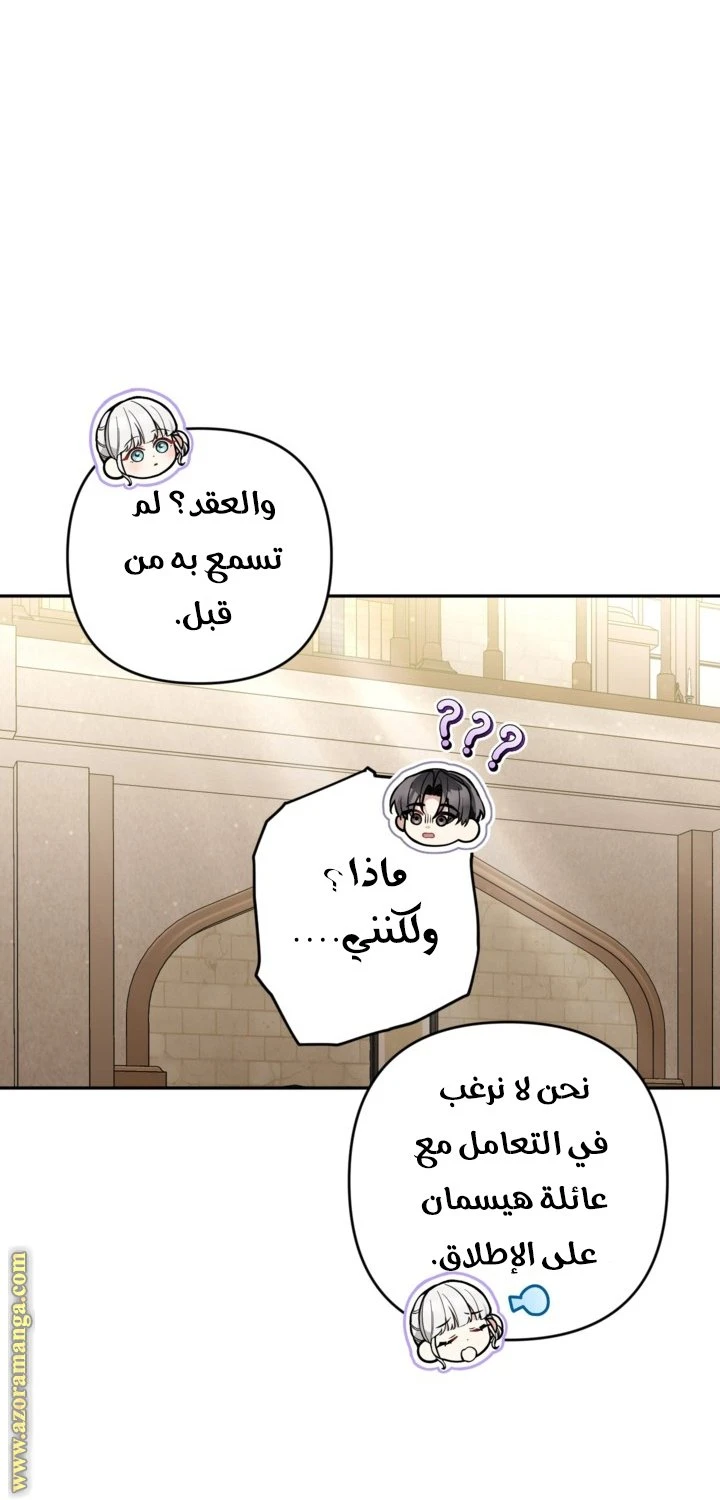 الصفحة 43