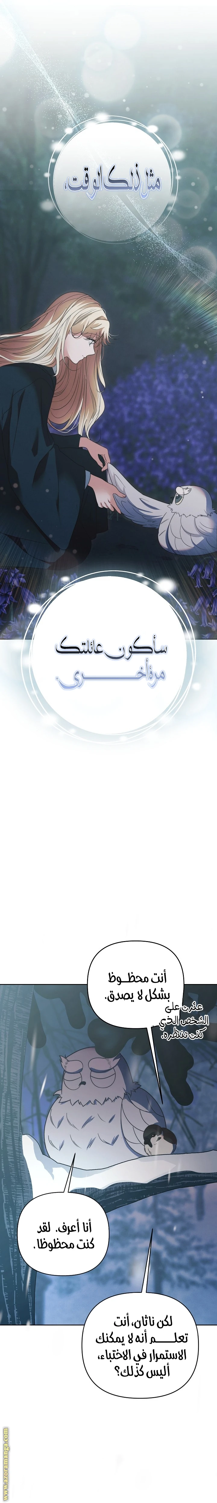 الصفحة 13