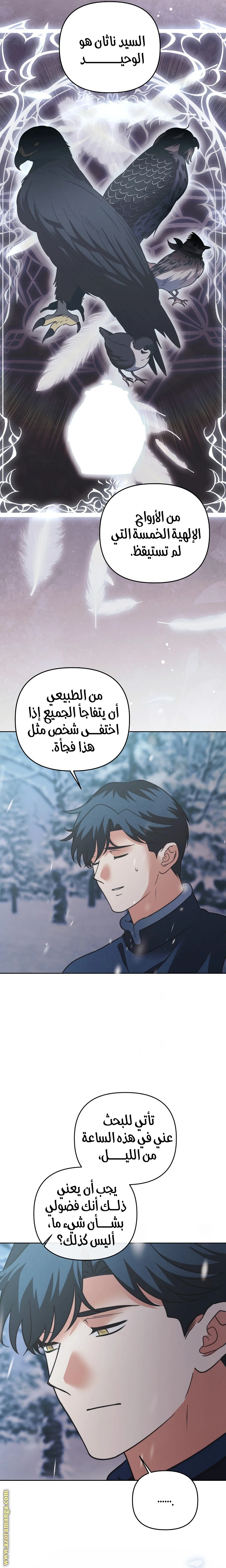 الصفحة 17