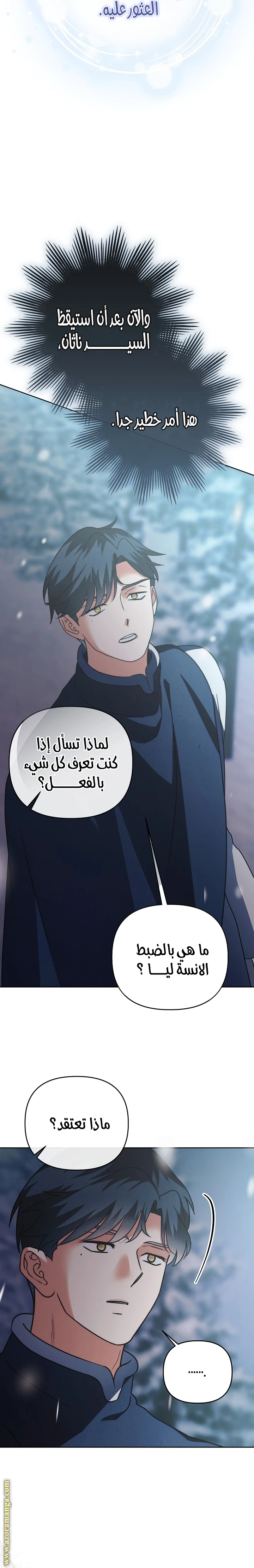 الصفحة 19