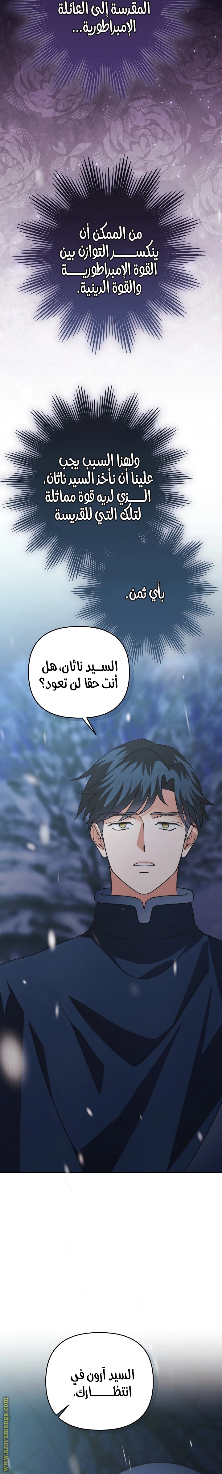 الصفحة 25