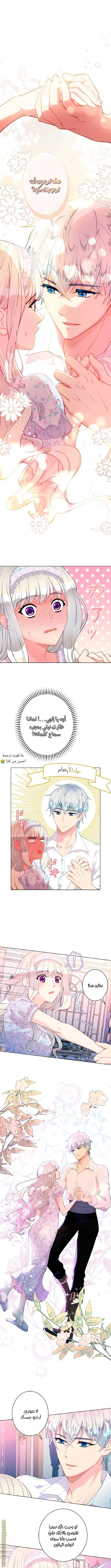 الصفحة 3