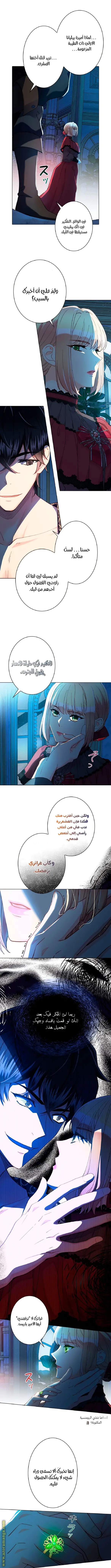 الصفحة 6