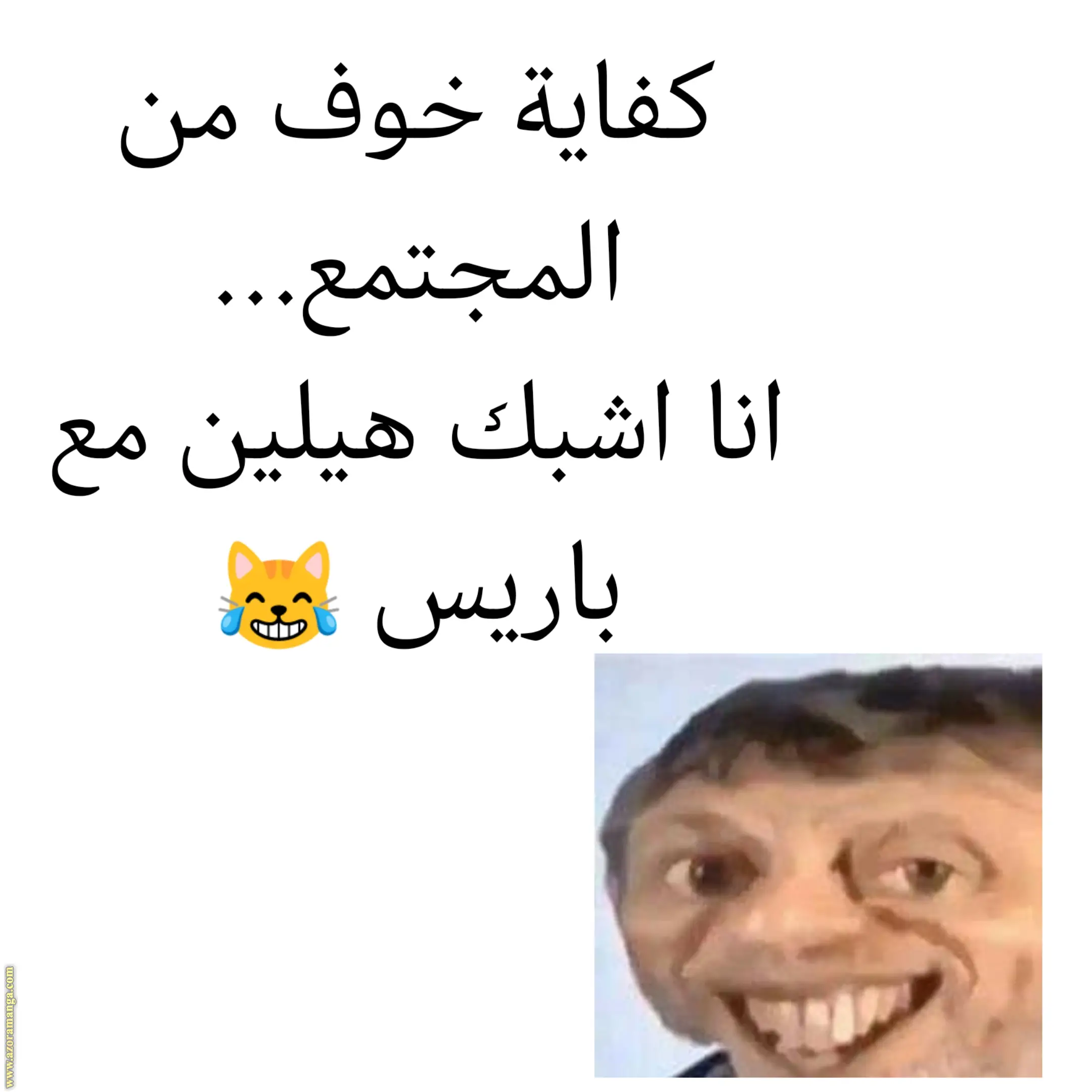 الصفحة 13