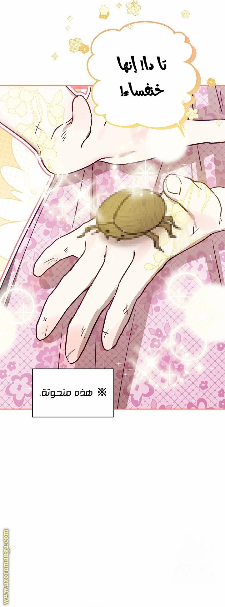 الصفحة 29