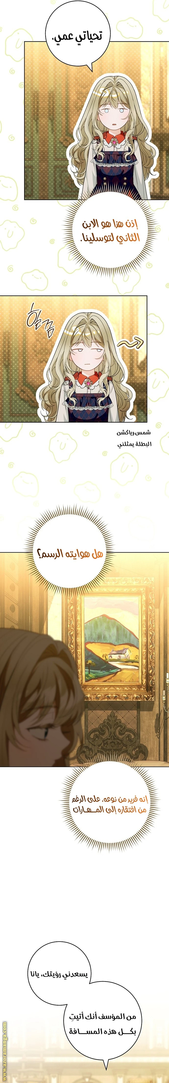 الصفحة 17