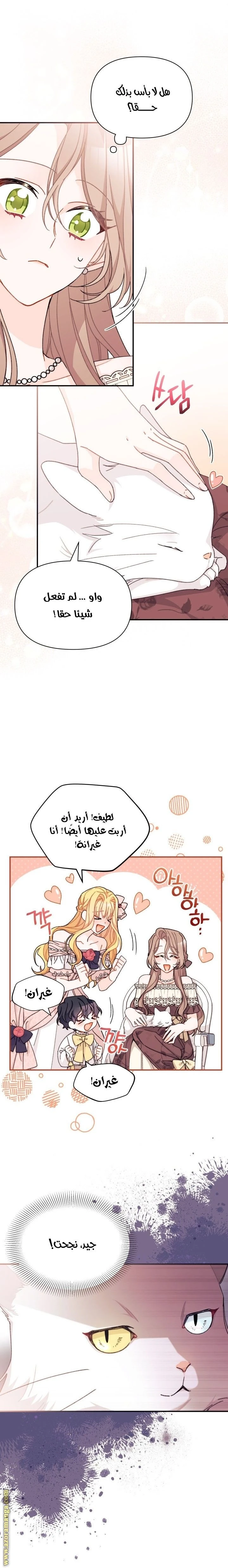 الصفحة 15