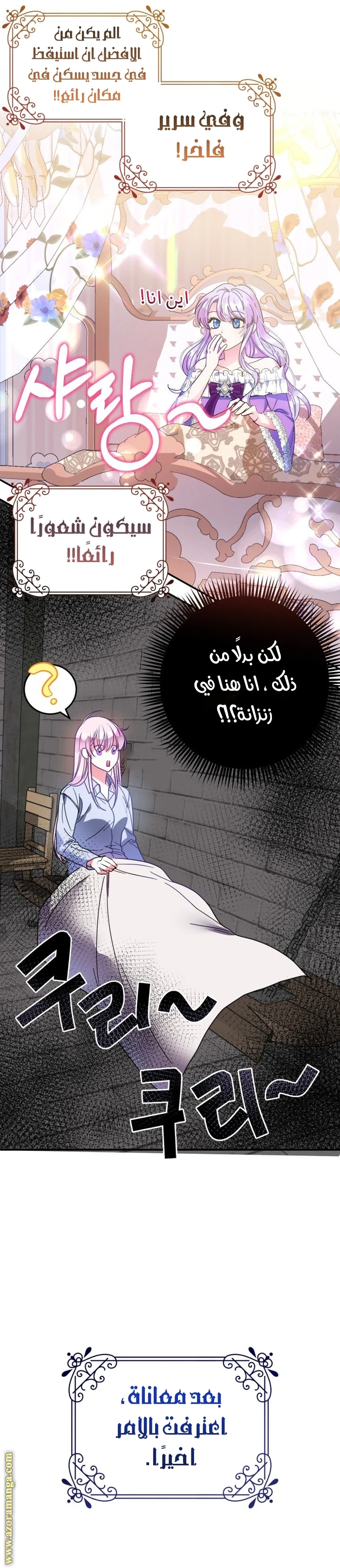 الصفحة 11