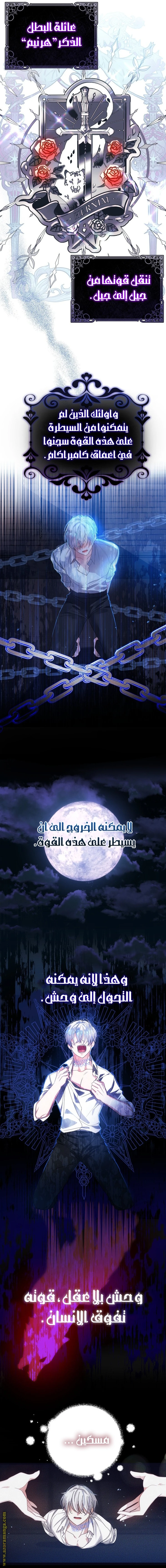 الصفحة 16