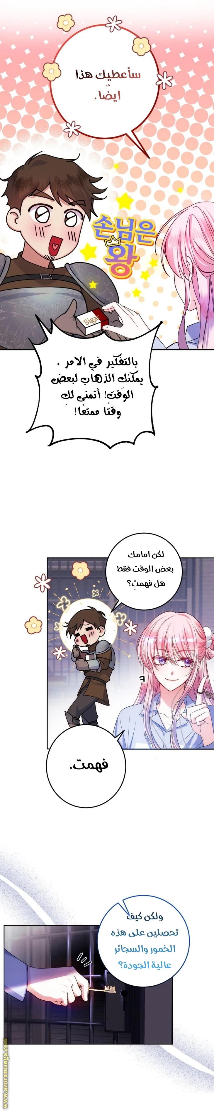 الصفحة 27