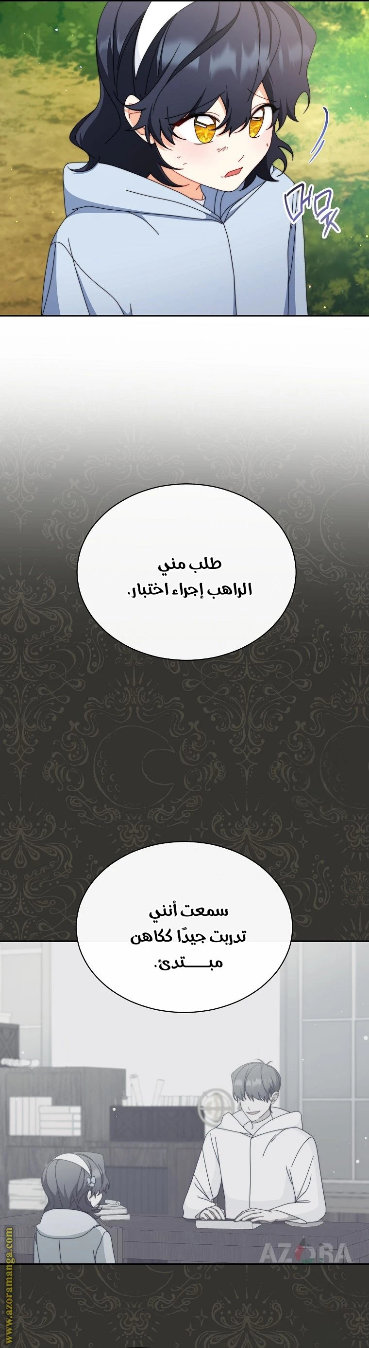 الصفحة 13