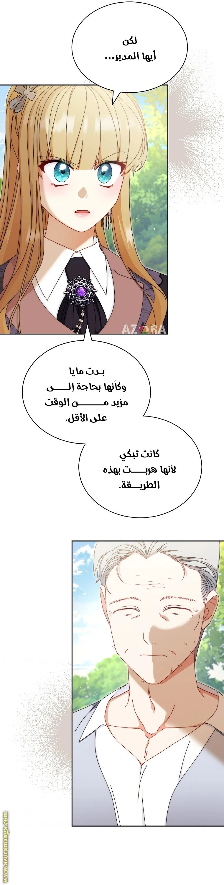 الصفحة 29