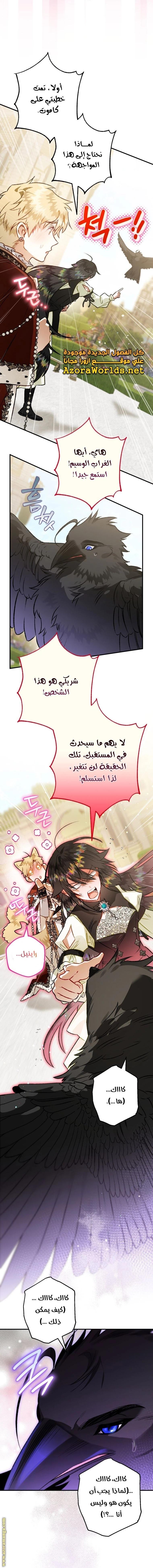 الصفحة 20