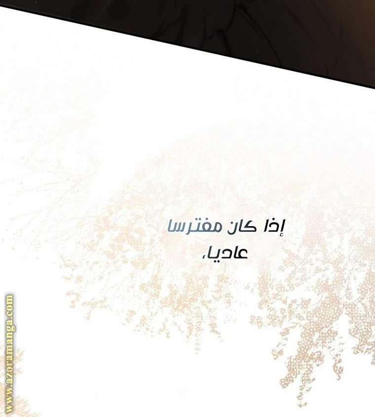الصفحة 25
