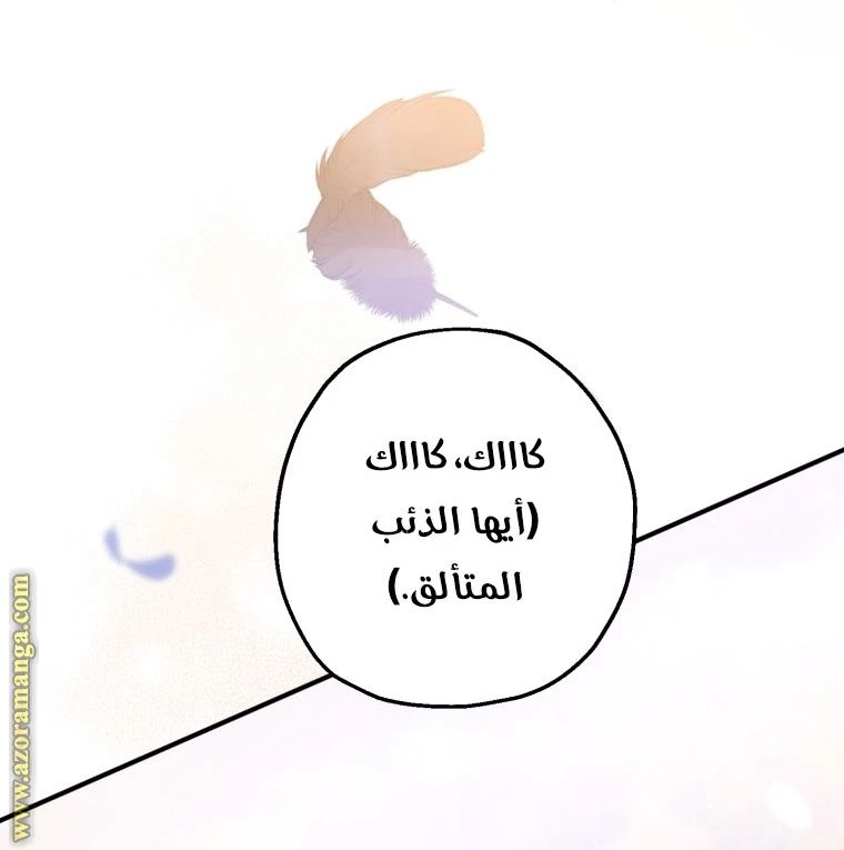 الصفحة 35