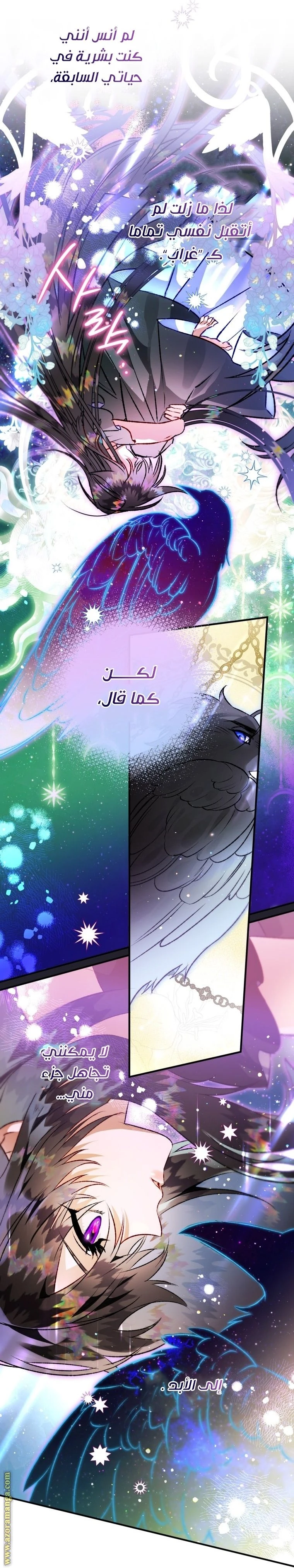 الصفحة 47