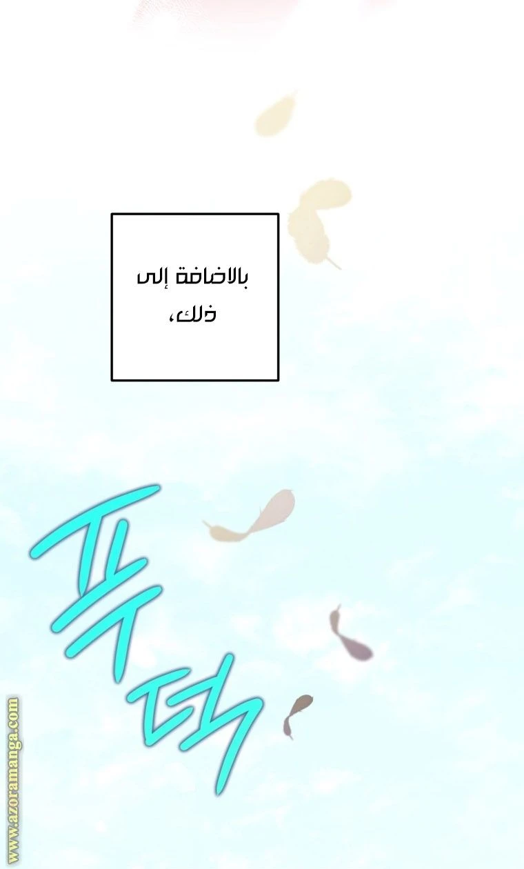 الصفحة 55