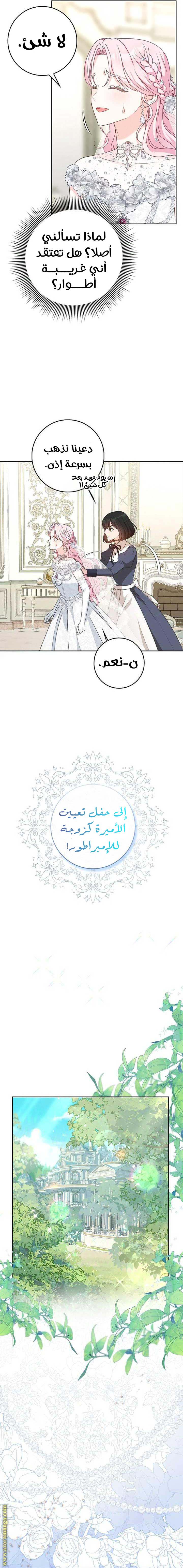 الصفحة 12