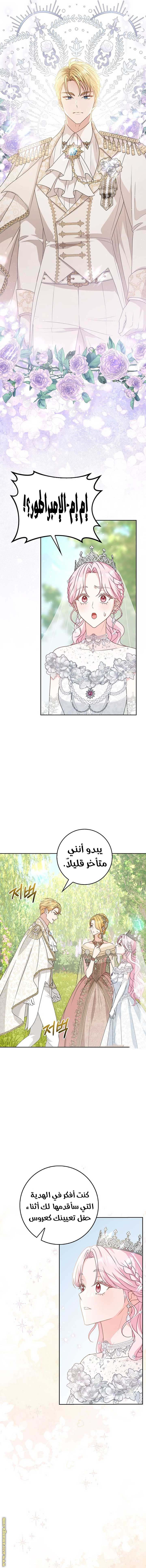 الصفحة 16