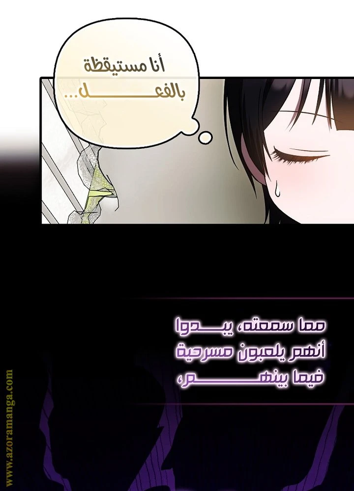 الصفحة 27