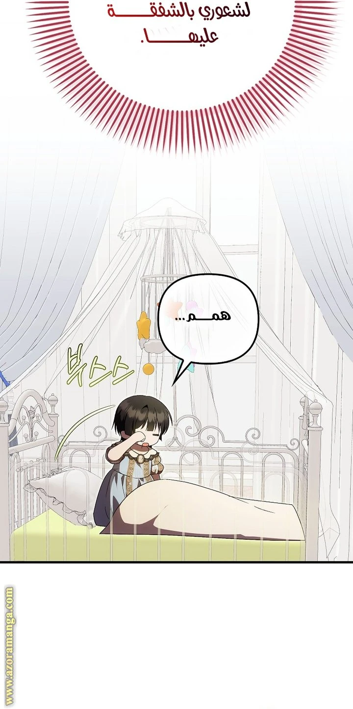الصفحة 29