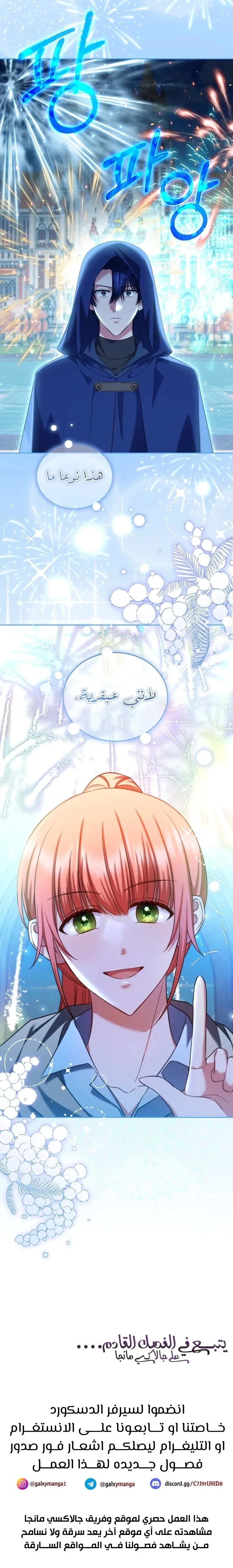الصفحة 17
