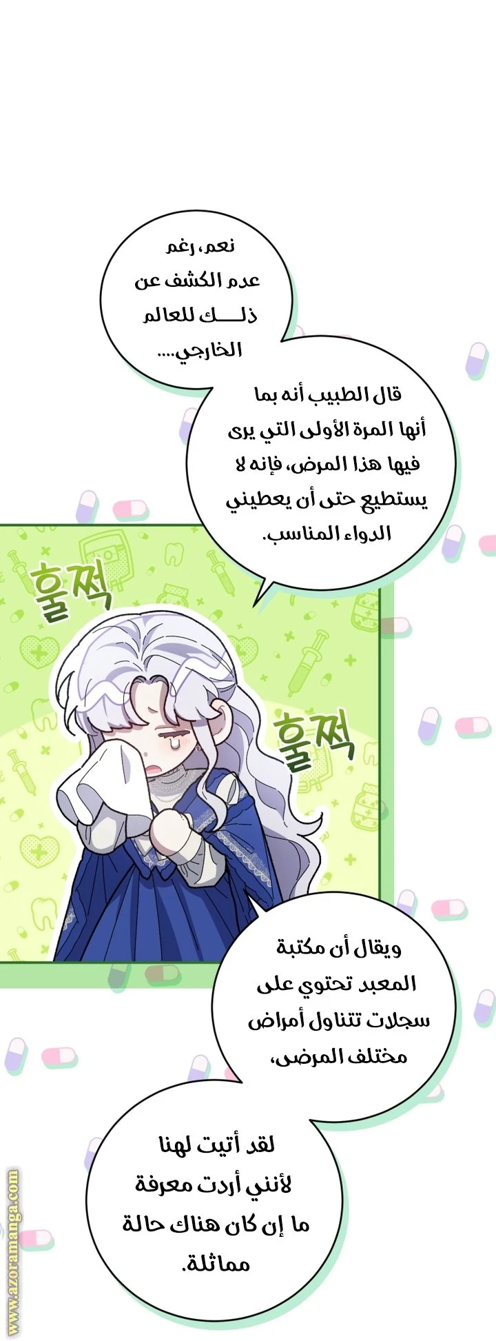 الصفحة 13