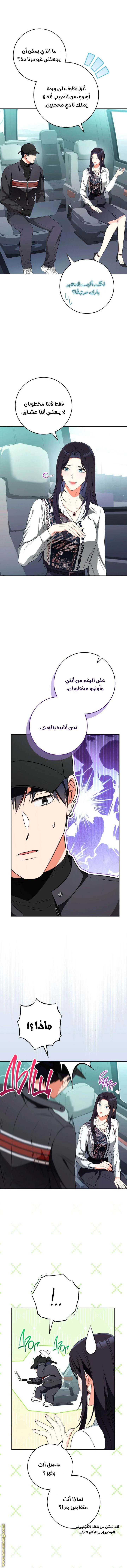 الصفحة 13