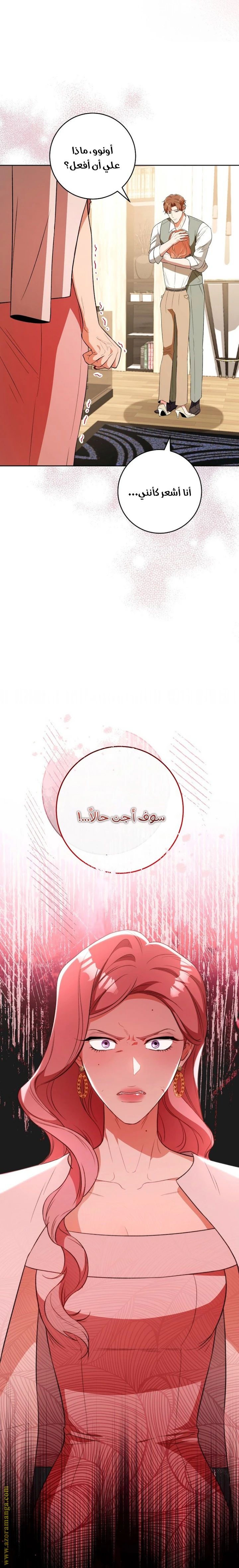 الصفحة 17