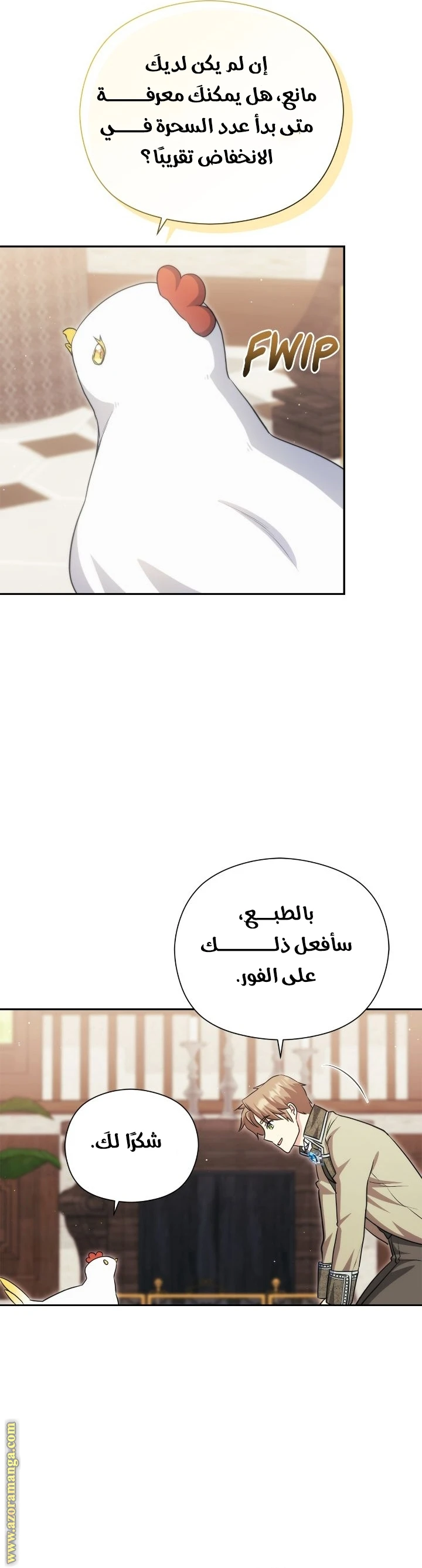 الصفحة 11