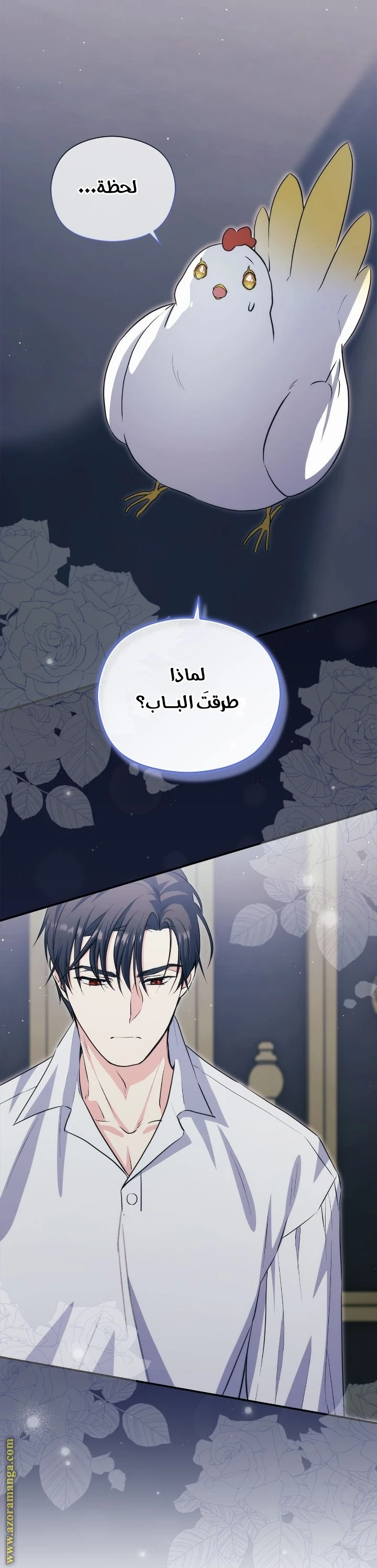 الصفحة 21