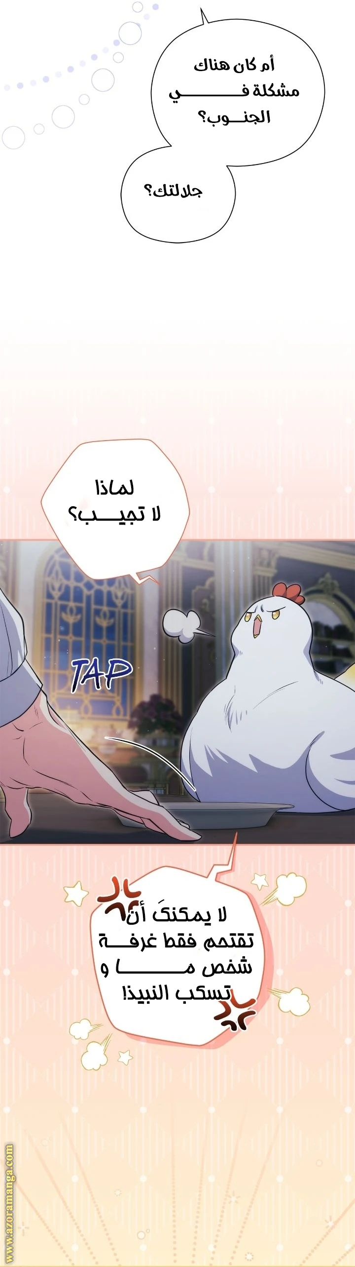 الصفحة 24