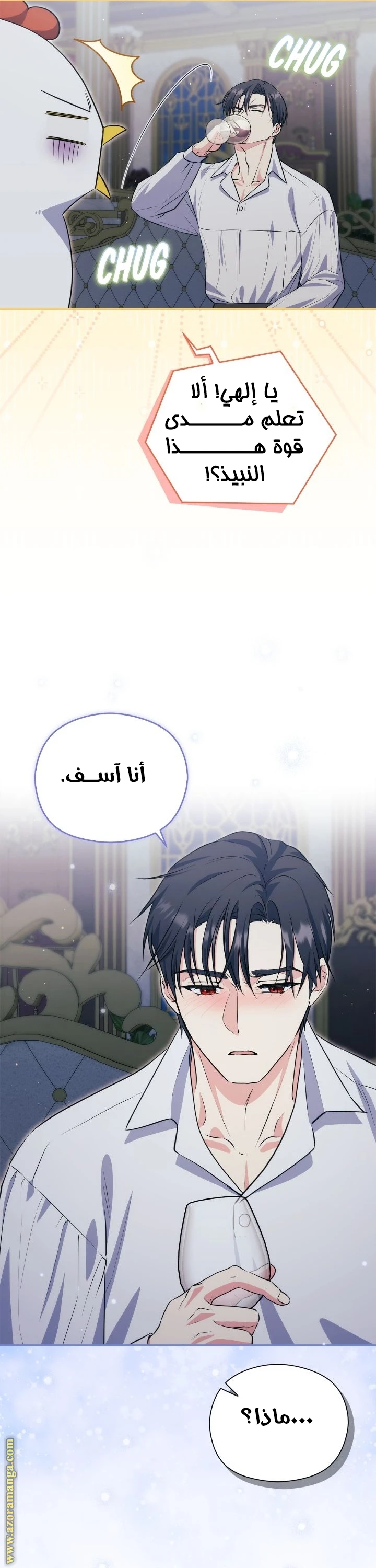 الصفحة 25