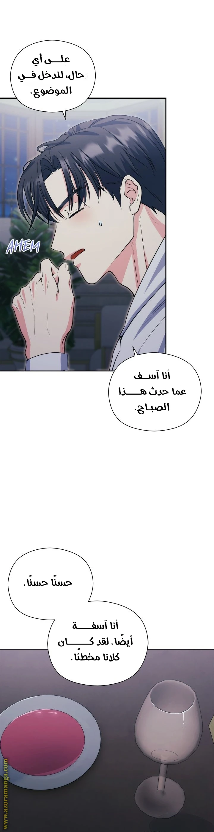 الصفحة 29