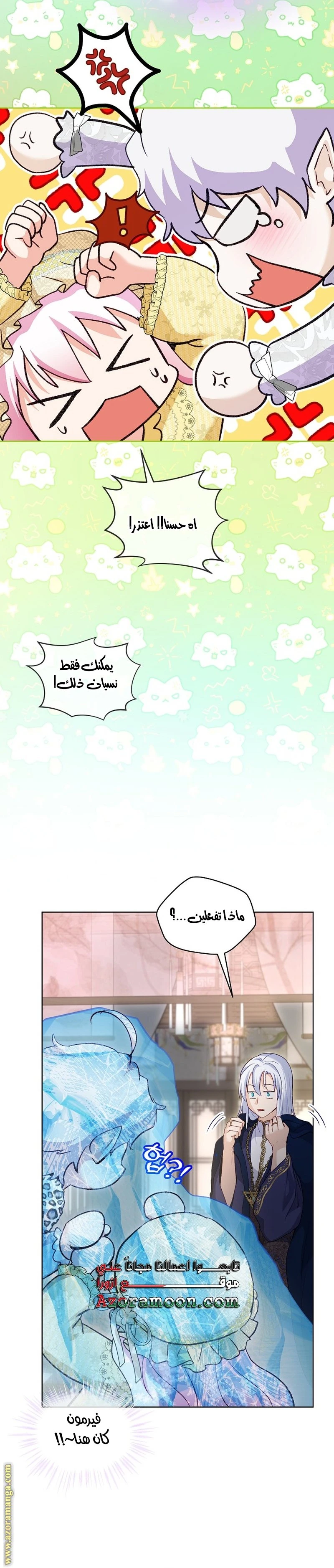 الصفحة 13