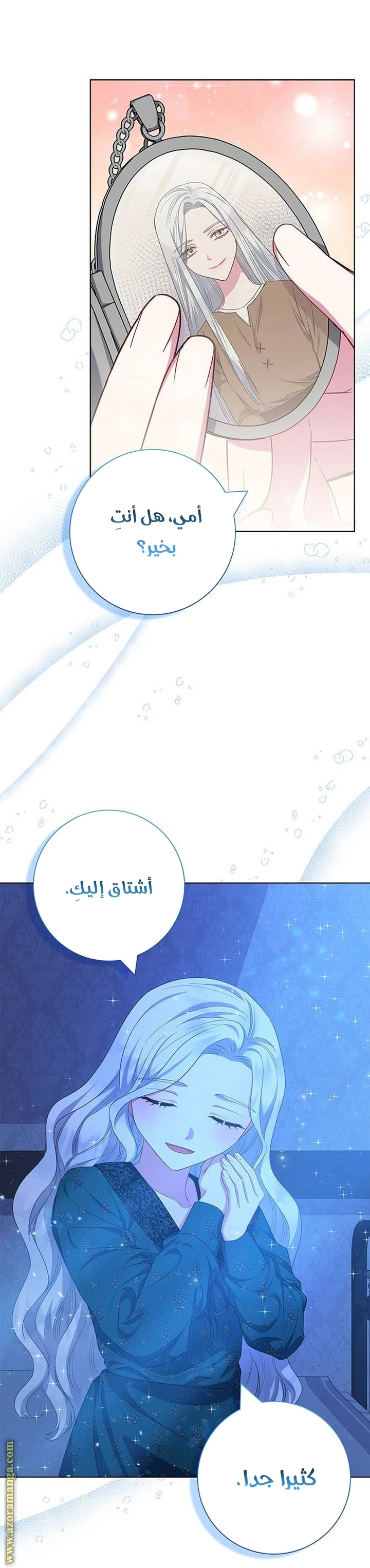 الصفحة 25