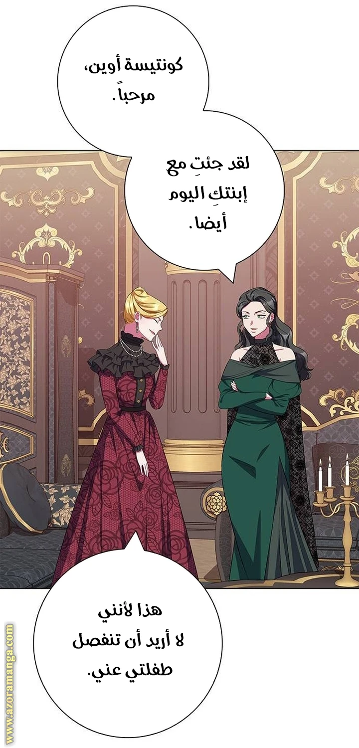 الصفحة 27