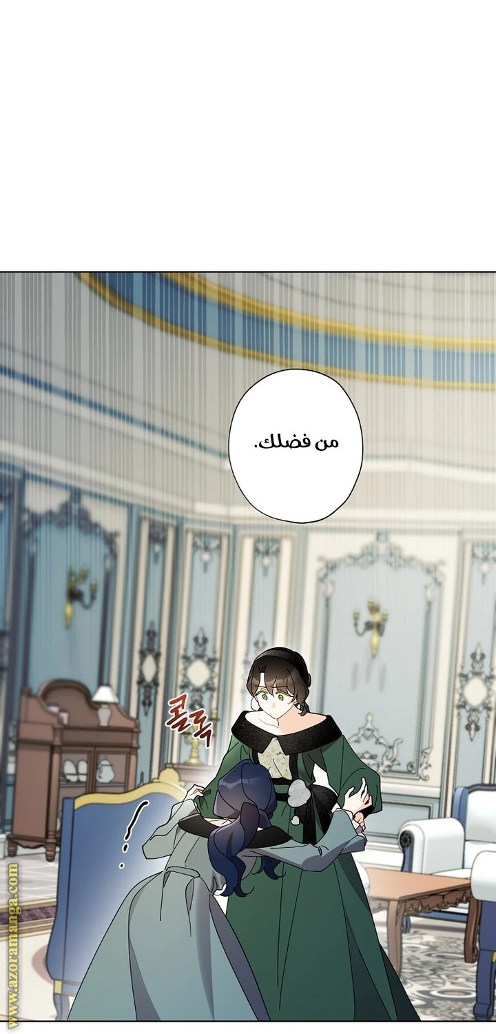 الصفحة 31