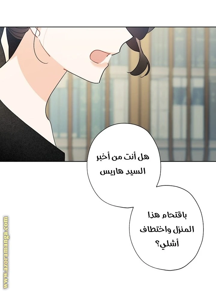 الصفحة 40