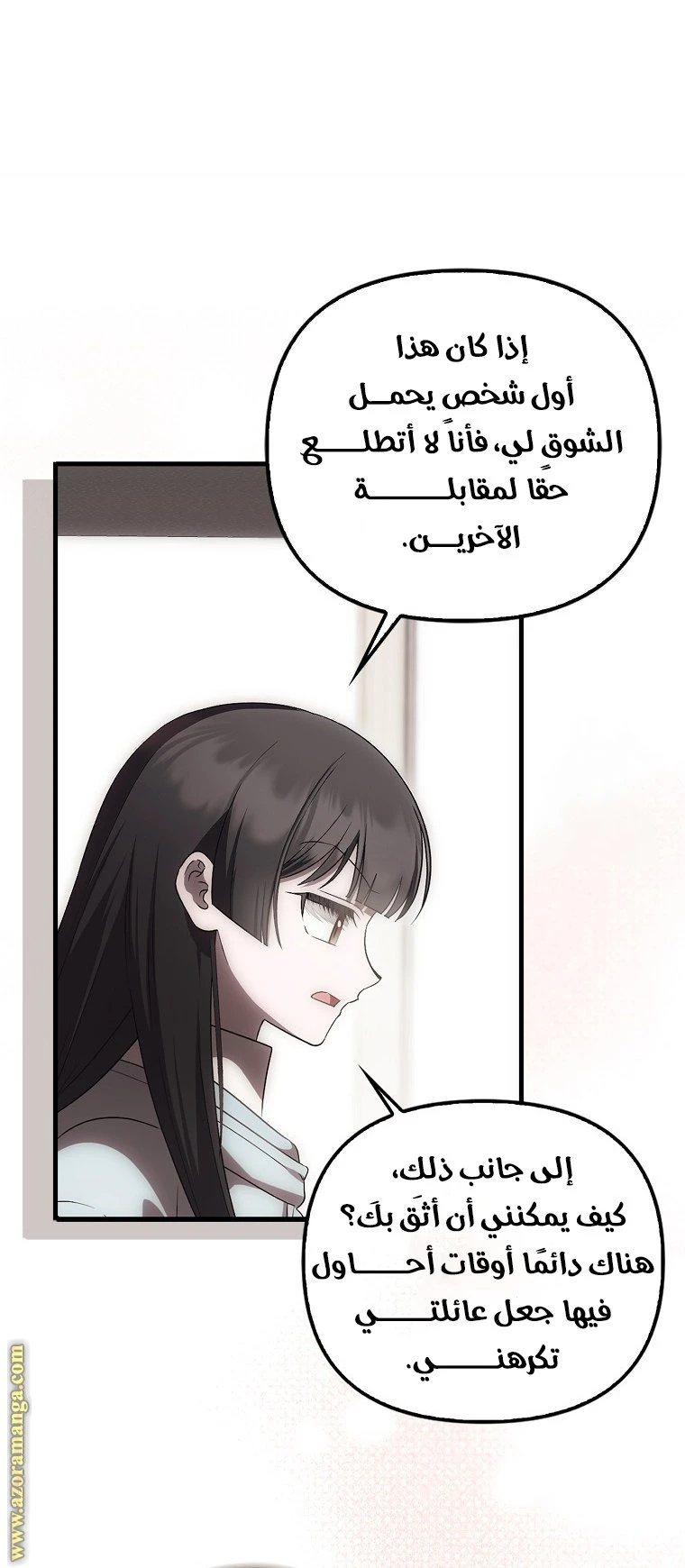 الصفحة 13