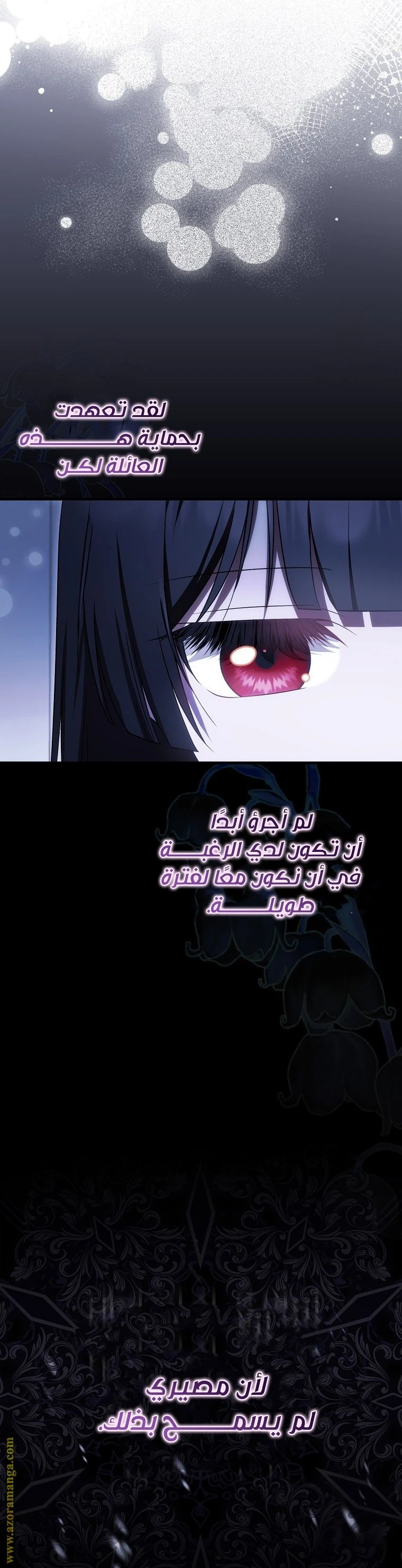 الصفحة 24