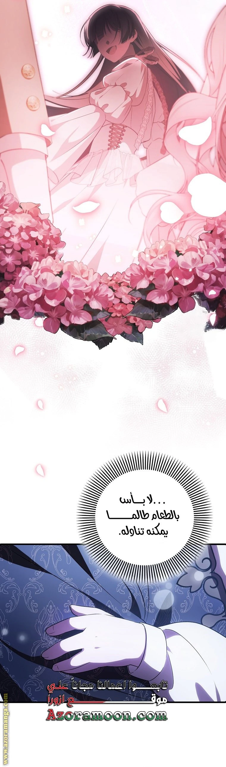 الصفحة 27