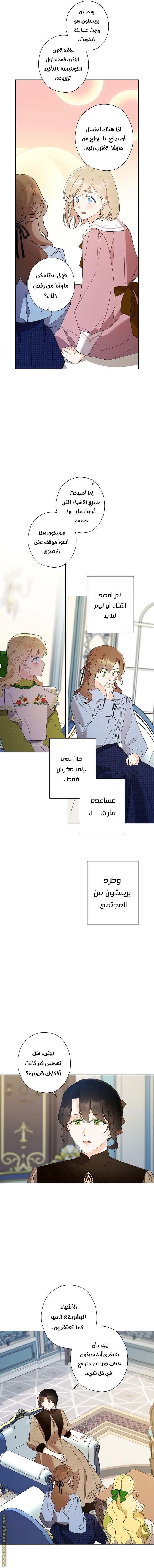 الصفحة 3
