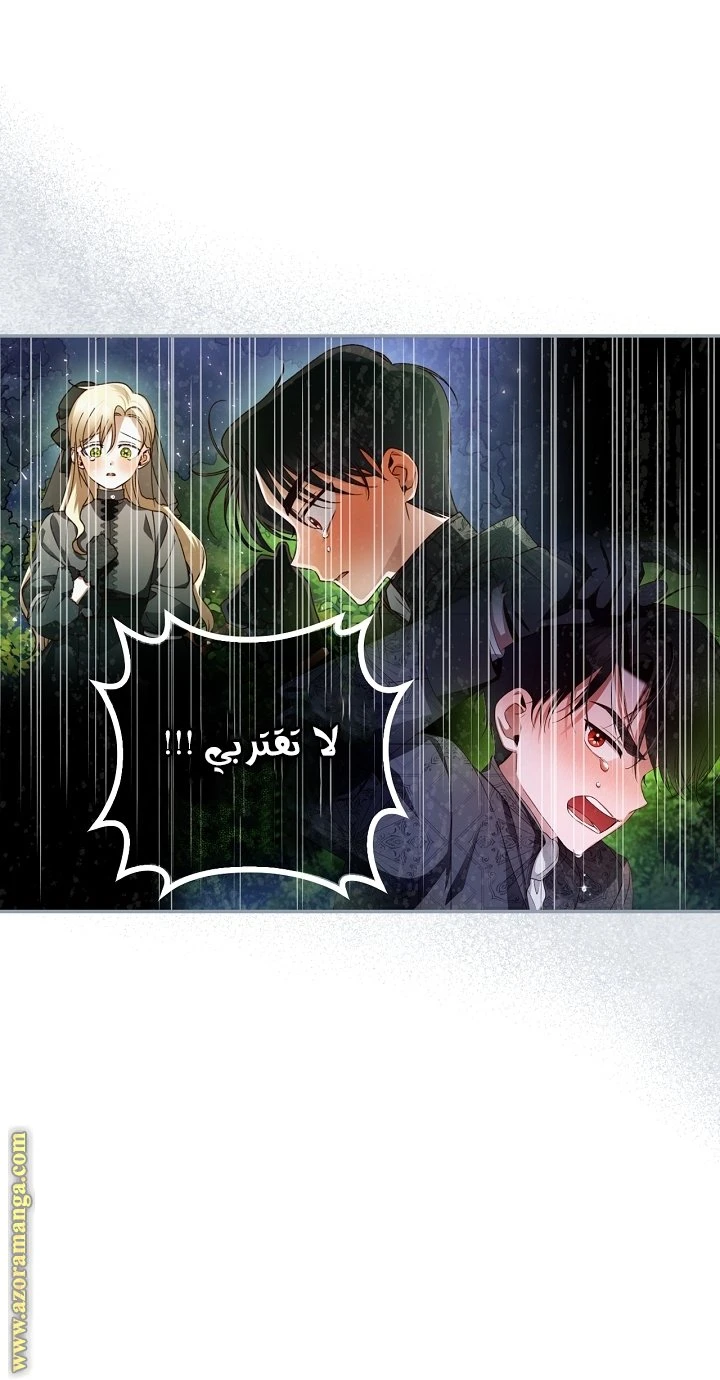الصفحة 29