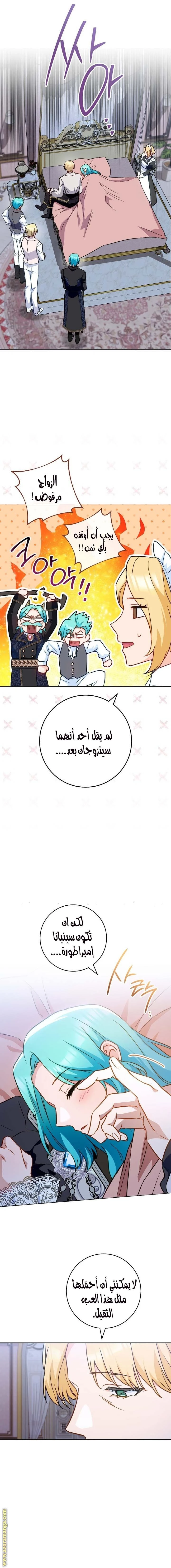الصفحة 7